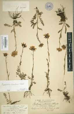 LE 01018004