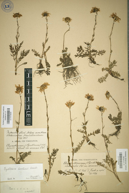 LE 01018005