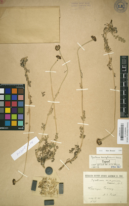 LE 01018007
