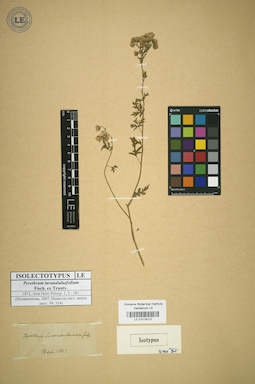 LE 01018013
