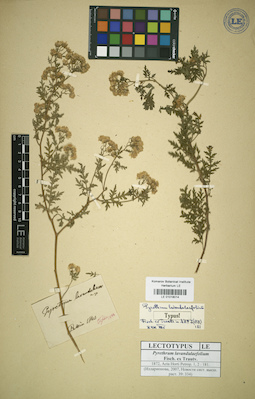 LE 01018014
