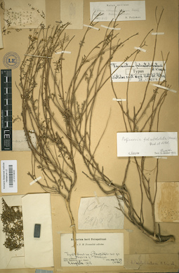 LE 01018022