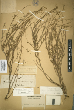 LE 01018023