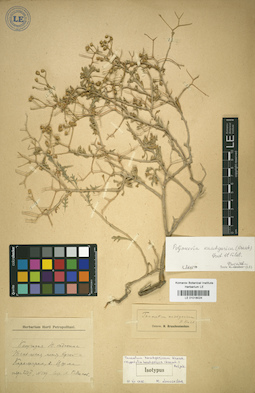 LE 01018024