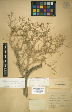 LE 01018025