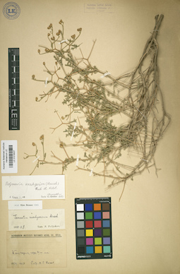 LE 01018027