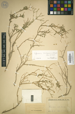 LE 01018028
