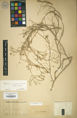 LE 01018030