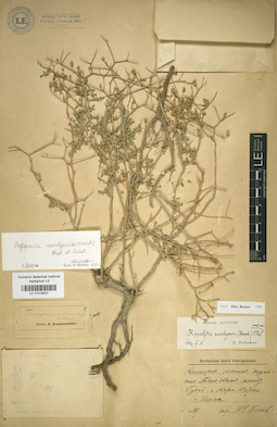 LE 01018031