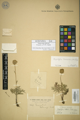 LE 01018032