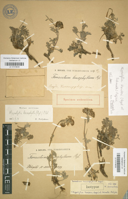 LE 01018034