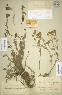 LE 01018036