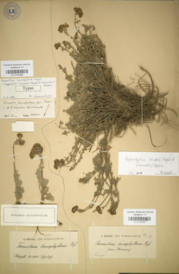 LE 01018037
