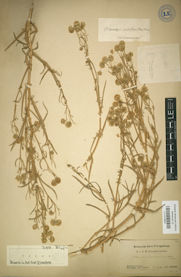 LE 01018045