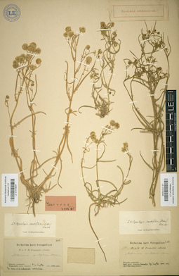LE 01018047