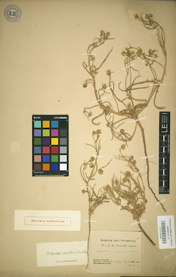 LE 01018049