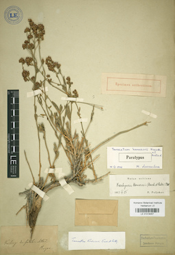 LE 01018057