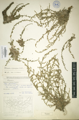 LE 01018065