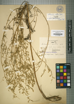 LE 01018066