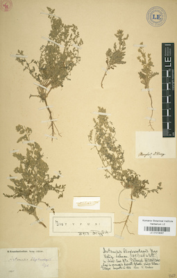 LE 01018067