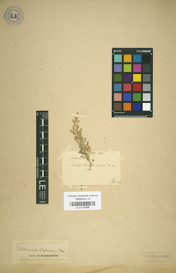 LE 01018068