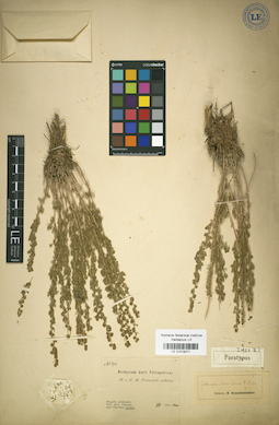 LE 01018071