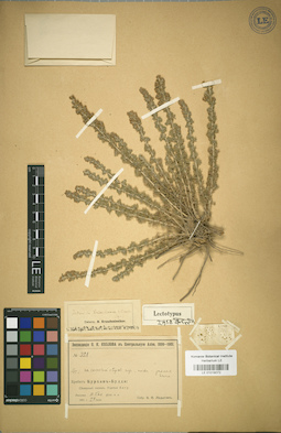LE 01018072