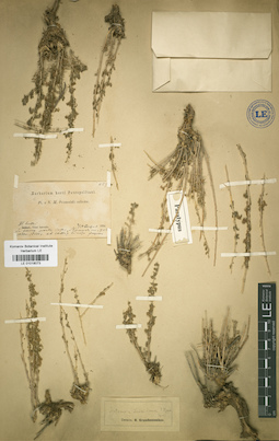LE 01018073