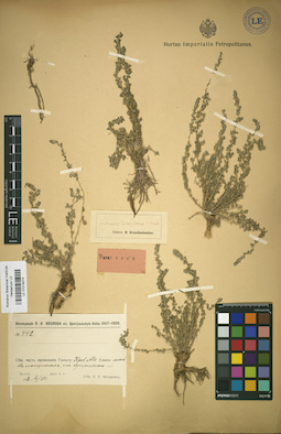 LE 01018074