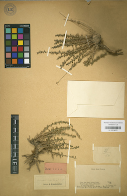 LE 01018075