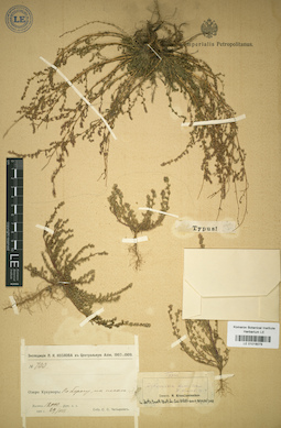 LE 01018078