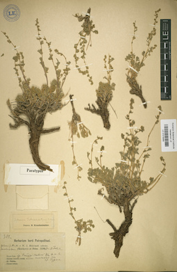 LE 01018080