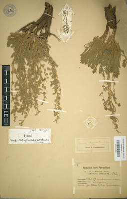 LE 01018081