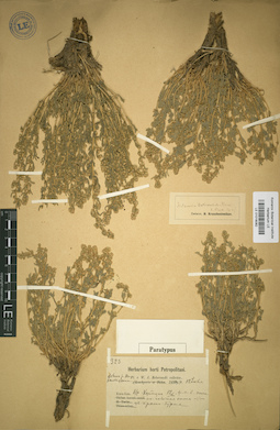 LE 01018082