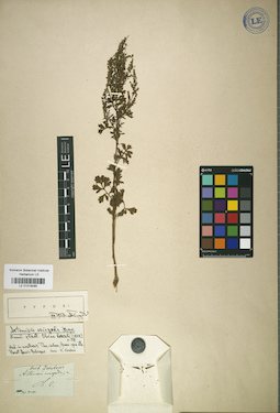 LE 01018085