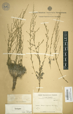 LE 01018086