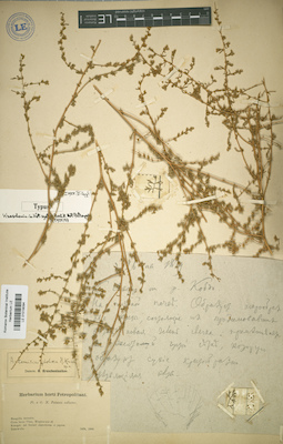 LE 01018094