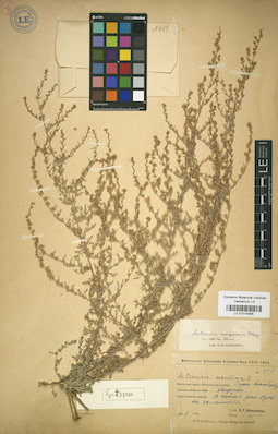 LE 01018095