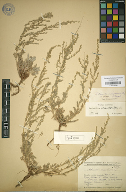 LE 01018096