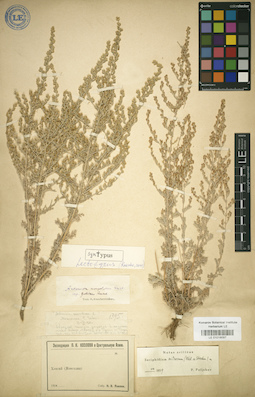 LE 01018097