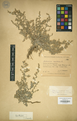 LE 01018107
