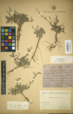 LE 01018108