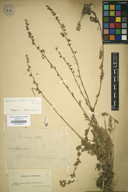 LE 01018109