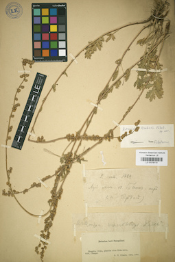 LE 01018110