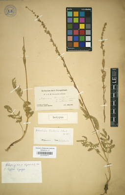 LE 01018111
