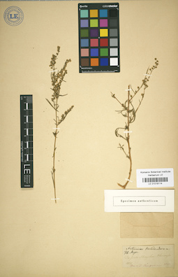 LE 01018114