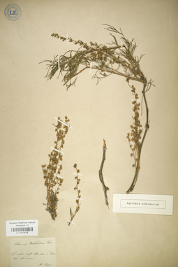 LE 01018119