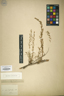 LE 01018120