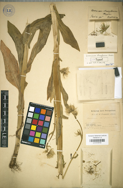 LE 01018152