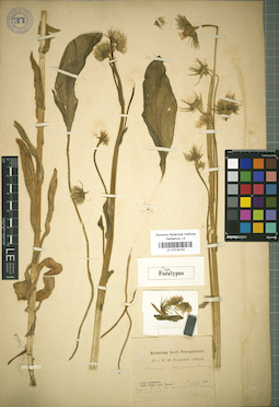 LE 01018153